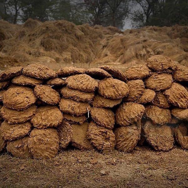 100% Pure Natural Organic Desi Cow Dung Cake Handmade/Gobar Upla/Kanda/Kande/Thepdi/Gowari for Hawan, Pooja & Religious Purpose